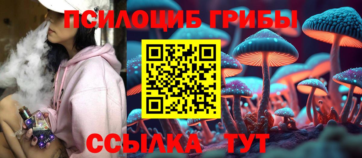 Псилоцибиновые грибы GOLDEN TEACHER  Галлюциногенные грибы Psilocybine cubensis  Вход с VPN  Калач-на-Дону 